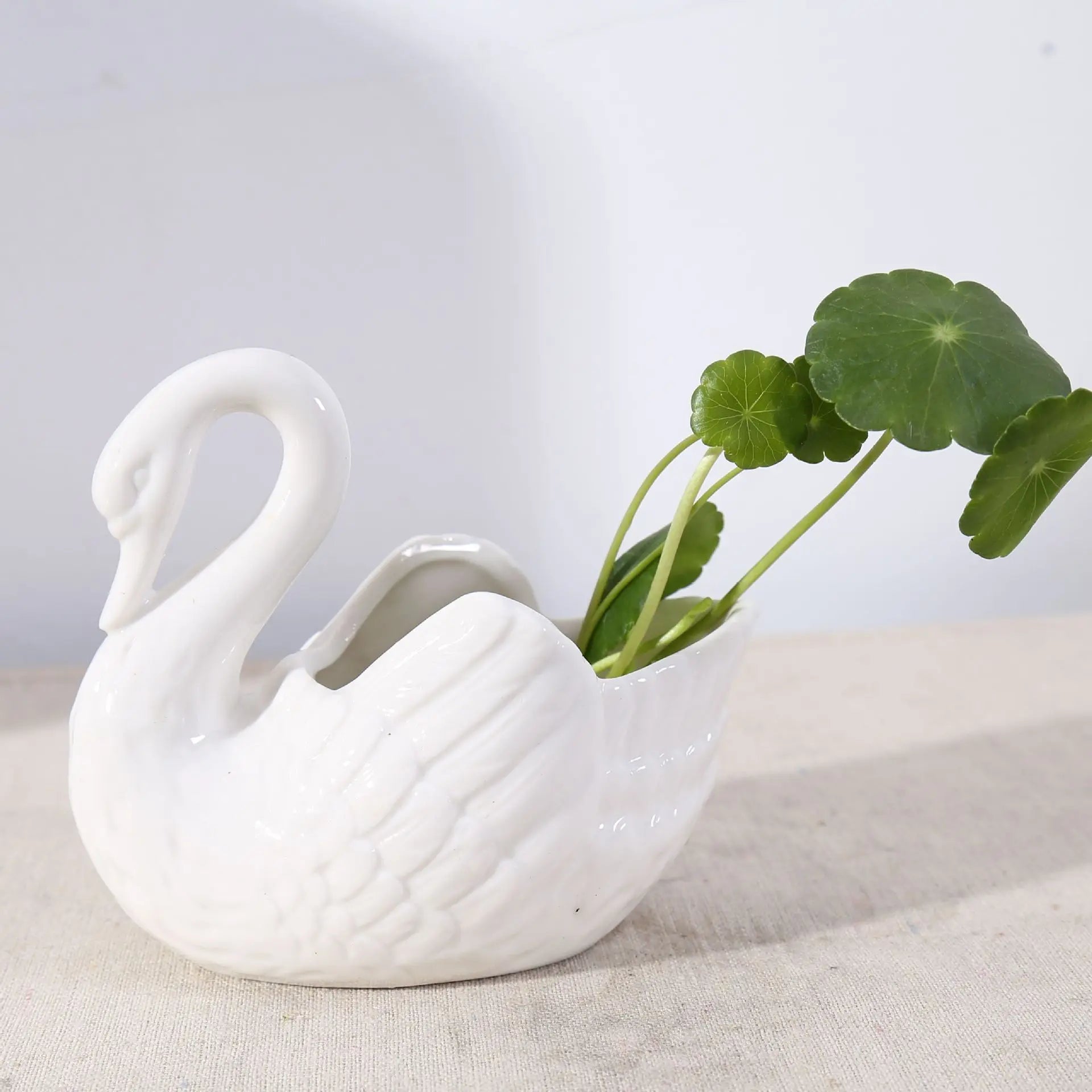 Swan Minimal Ceramic Pot